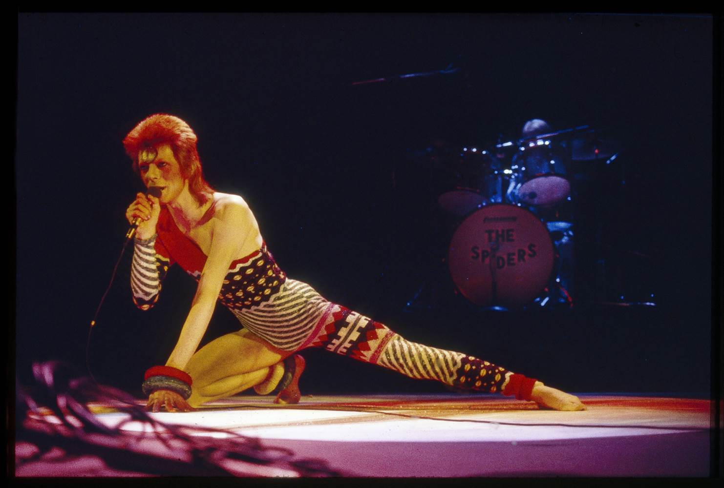ZIGGY CATSUIT